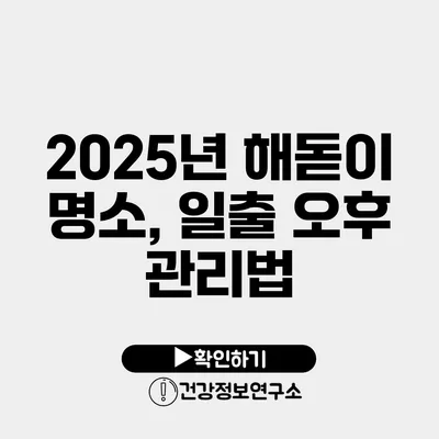 2025년 해돋이 명소, 일출 오후 관리법