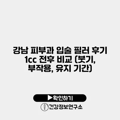 강남 피부과 입술 필러 후기 1cc 전후 비교 (붓기, 부작용, 유지 기간)