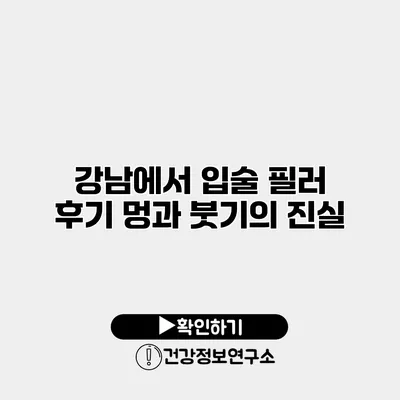 강남에서 입술 필러 후기 멍과 붓기의 진실