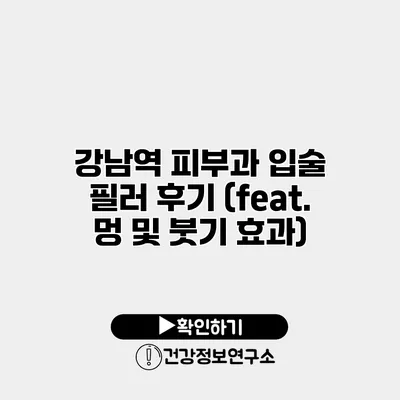 강남역 피부과 입술 필러 후기 (feat. 멍 및 붓기 효과)
