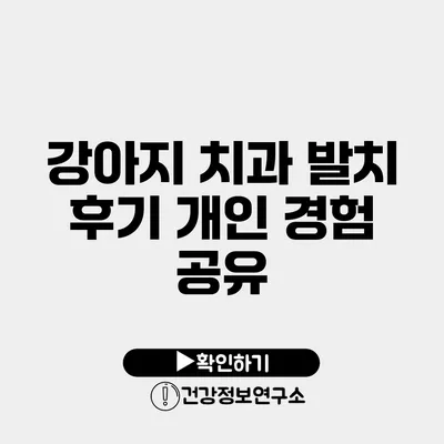 강아지 치과 발치 후기 개인 경험 공유