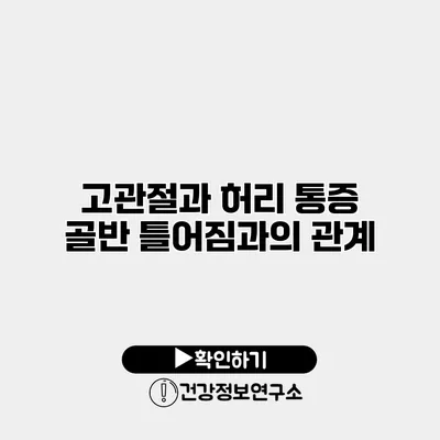 고관절과 허리 통증 골반 틀어짐과의 관계