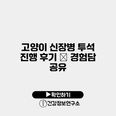 고양이 신장병 투석 진행 후기 – 경험담 공유