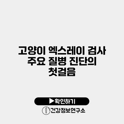 고양이 엑스레이 검사 주요 질병 진단의 첫걸음