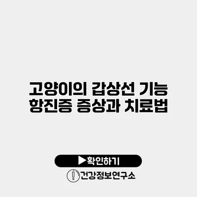 고양이의 갑상선 기능 항진증 증상과 치료법