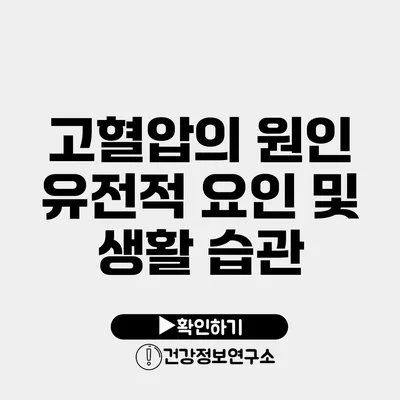 고혈압의 원인 유전적 요인 및 생활 습관