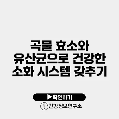 곡물 효소와 유산균으로 건강한 소화 시스템 갖추기