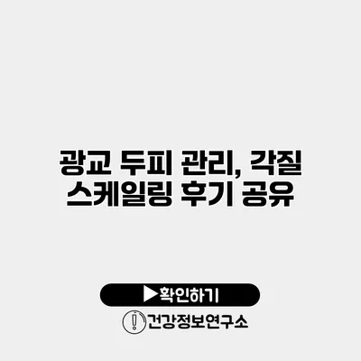 광교 두피 관리, 각질 스케일링 후기 공유