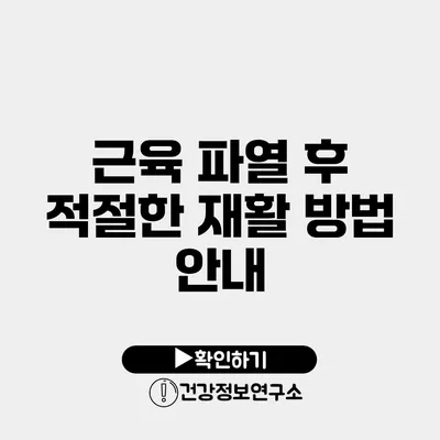 근육 파열 후 적절한 재활 방법 안내