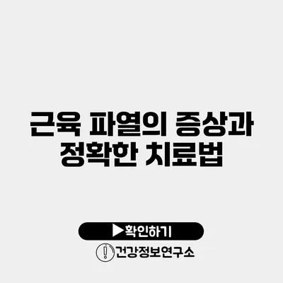 근육 파열의 증상과 정확한 치료법