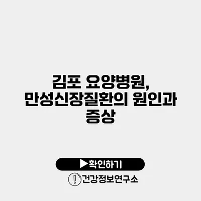 김포 요양병원, 만성신장질환의 원인과 증상