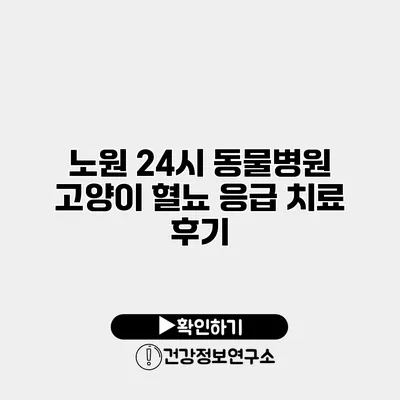 노원 24시 동물병원 고양이 혈뇨 응급 치료 후기