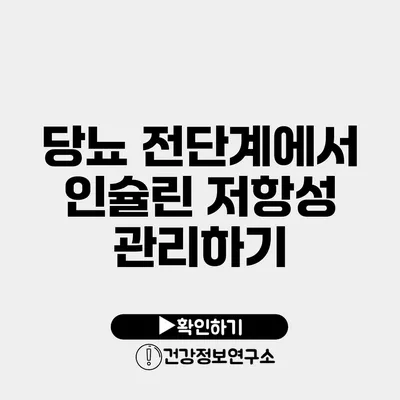 당뇨 전단계에서 인슐린 저항성 관리하기