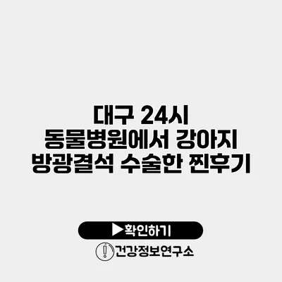 대구 24시 동물병원에서 강아지 방광결석 수술한 찐후기