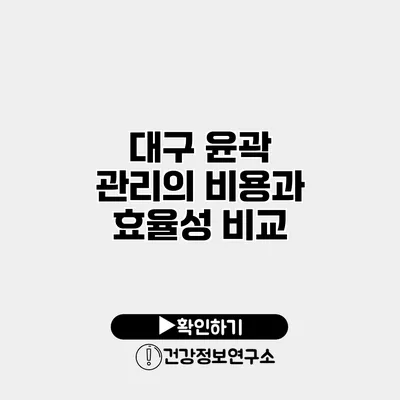 대구 윤곽 관리의 비용과 효율성 비교