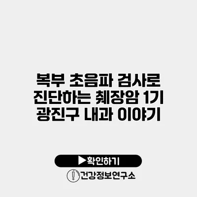 복부 초음파 검사로 진단하는 췌장암 1기 광진구 내과 이야기