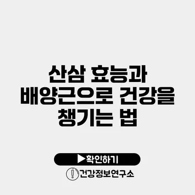 산삼 효능과 배양근으로 건강을 챙기는 법