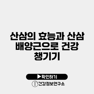 산삼의 효능과 산삼 배양근으로 건강 챙기기