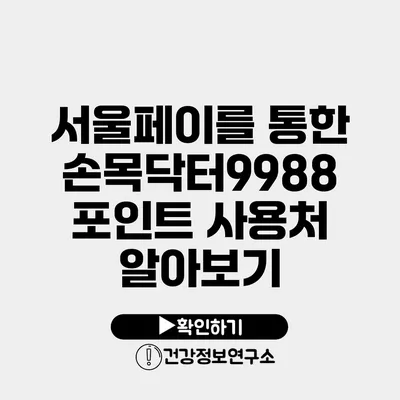 서울페이를 통한 손목닥터9988 포인트 사용처 알아보기