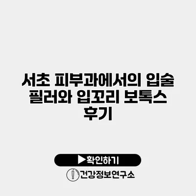 서초 피부과에서의 입술 필러와 입꼬리 보톡스 후기