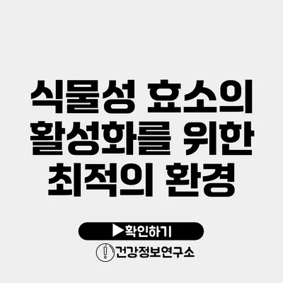 식물성 효소의 활성화를 위한 최적의 환경