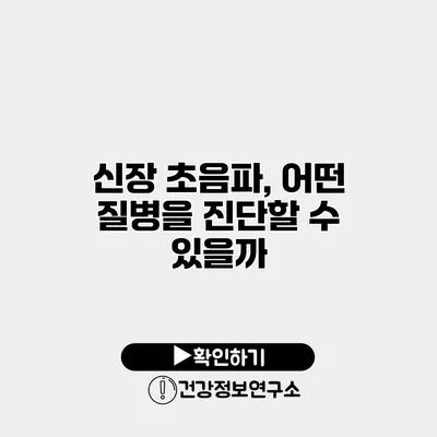 신장 초음파, 어떤 질병을 진단할 수 있을까?