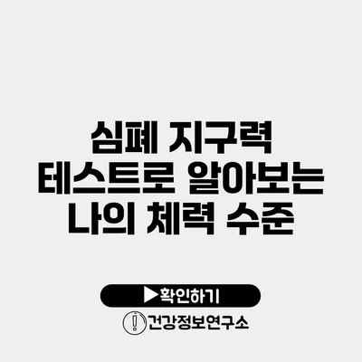 심폐 지구력 테스트로 알아보는 나의 체력 수준