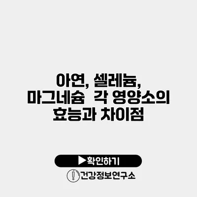 아연, 셀레늄, 마그네슘 각 영양소의 효능과 차이점