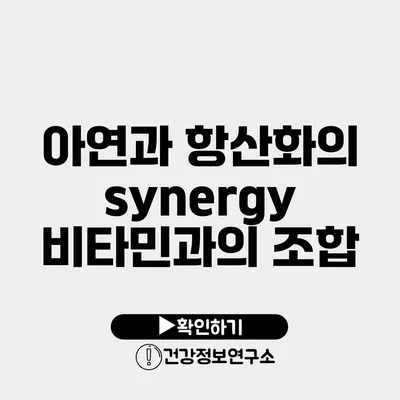 아연과 항산화의 synergy 비타민과의 조합