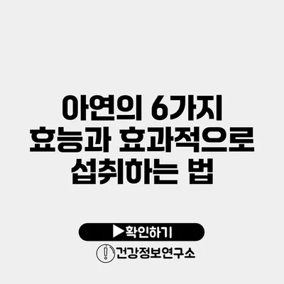 아연의 6가지 효능과 효과적으로 섭취하는 법