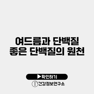 여드름과 단백질 좋은 단백질의 원천