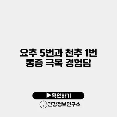 요추 5번과 천추 1번 통증 극복 경험담