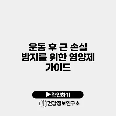 운동 후 근 손실 방지를 위한 영양제 가이드