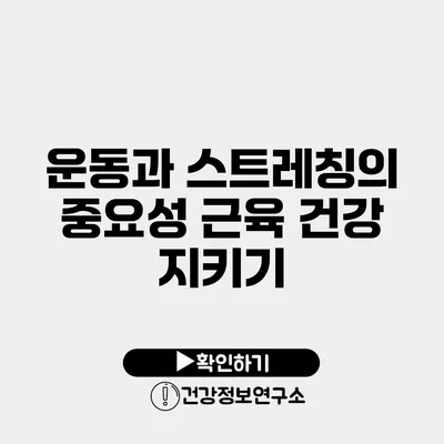 운동과 스트레칭의 중요성 근육 건강 지키기