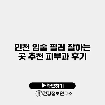 인천 입술 필러 잘하는 곳 추천 피부과 후기