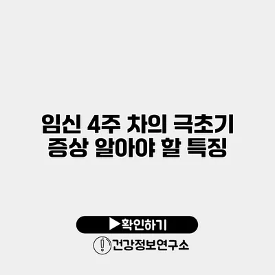 임신 4주 차의 극초기 증상 알아야 할 특징