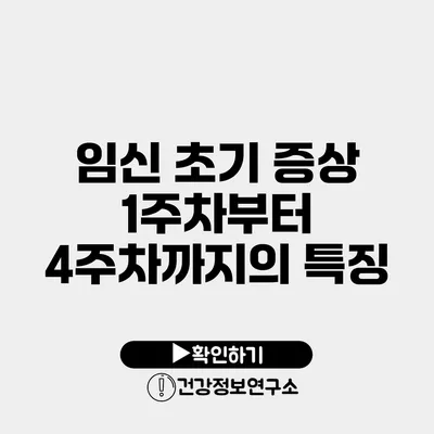 임신 초기 증상 1주차부터 4주차까지의 특징