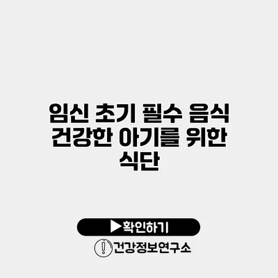 임신 초기 필수 음식 건강한 아기를 위한 식단