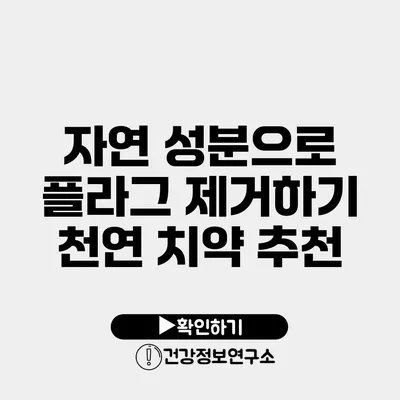 자연 성분으로 플라그 제거하기 천연 치약 추천