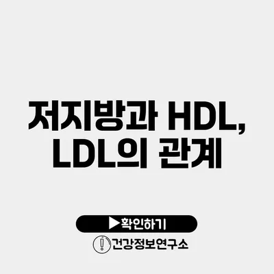 저지방과 HDL, LDL의 관계