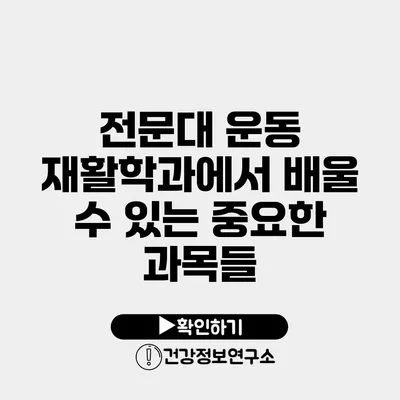 전문대 운동 재활학과에서 배울 수 있는 중요한 과목들