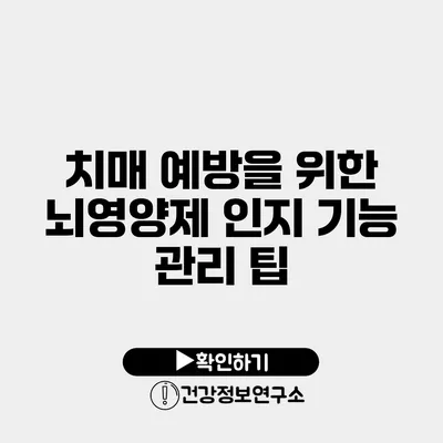 치매 예방을 위한 뇌영양제 인지 기능 관리 팁