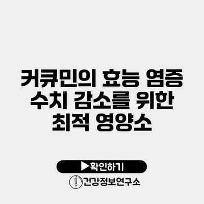 커큐민의 효능 염증 수치 감소를 위한 최적 영양소