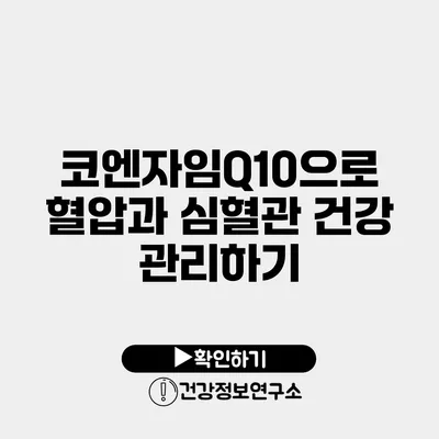 코엔자임Q10으로 혈압과 심혈관 건강 관리하기