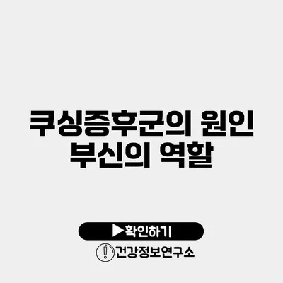 쿠싱증후군의 원인 부신의 역할