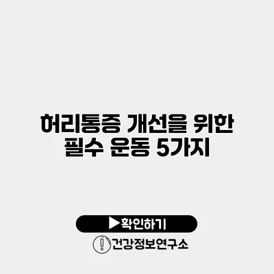 허리통증 개선을 위한 필수 운동 5가지