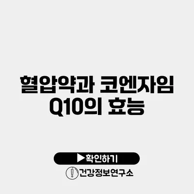 혈압약과 코엔자임 Q10의 효능