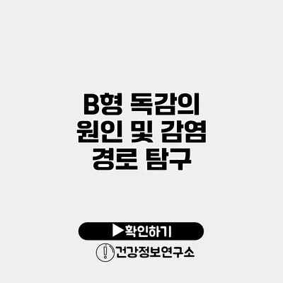 B형 독감의 원인 및 감염 경로 탐구