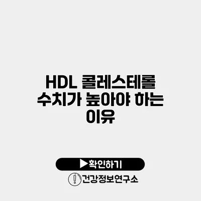 HDL 콜레스테롤 수치가 높아야 하는 이유