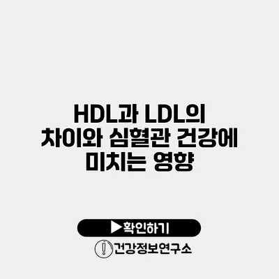 HDL과 LDL의 차이와 심혈관 건강에 미치는 영향